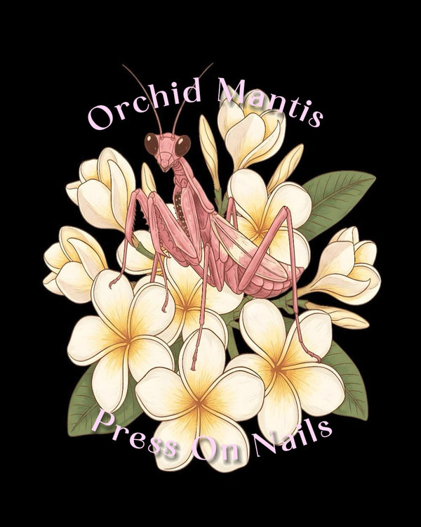 Pink Orchid Mantis Press On Nails